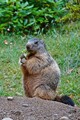 DSC00333R.jpg