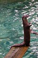 DSC00364R.jpg