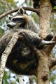 DSC00379R.jpg