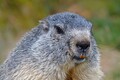DSC00387R.jpg