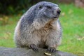 DSC00392R.jpg