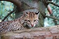 DSC00405R.jpg