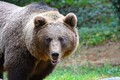 DSC00432R.jpg