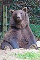 DSC00437R.jpg