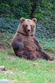 DSC00449R.jpg