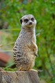 DSC00473R.jpg