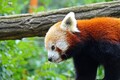 DSC00478R.jpg