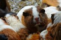DSC00504R.jpg