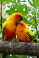 DSC00515R.jpg