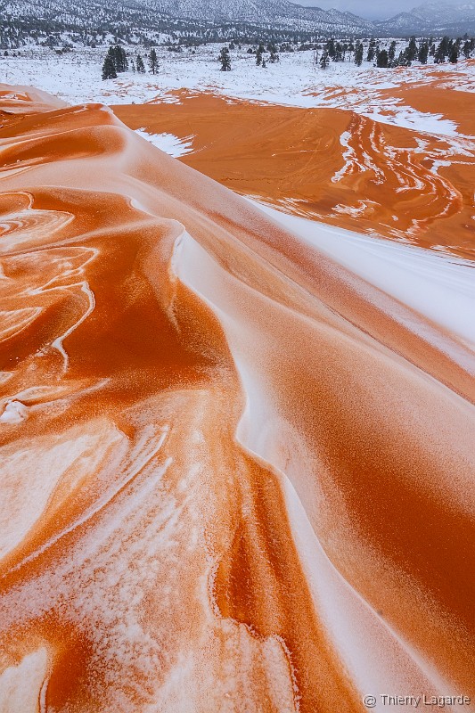 Vous avez atteint la derni�re diapositive