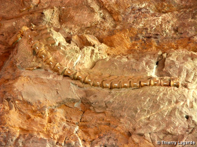 Vous avez atteint derni&egrave;re la diapositive