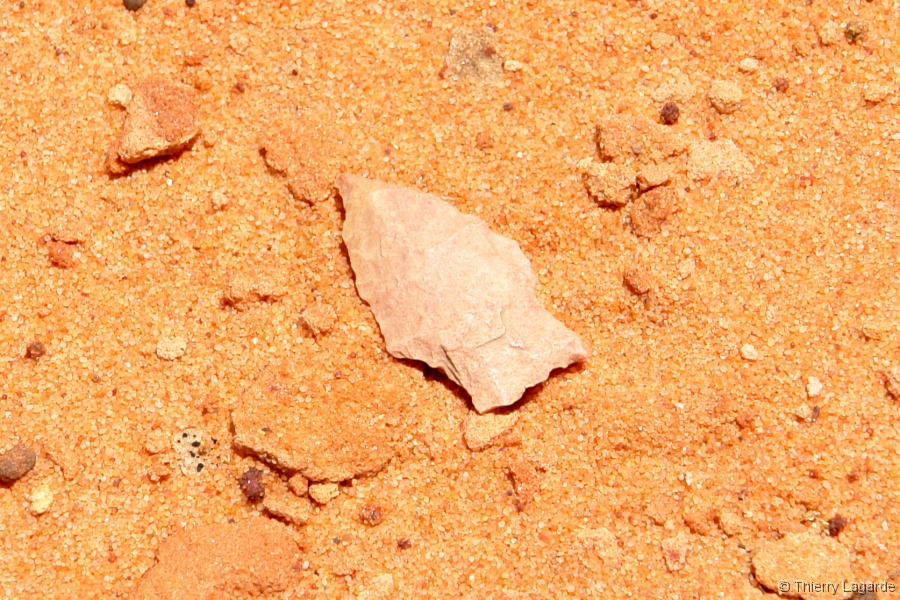 Diapositive suivante
