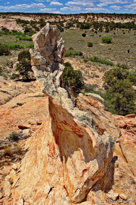 Diapositive suivante