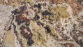 Filename=BISTI23R.jpg
Filesize=481KiB
Dimensions=1244x700
Date added=Mar 08, 2020 BISTI23R.jpg