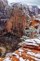 DSC07395R_1.jpg