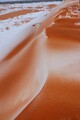 DSC07535R.jpg