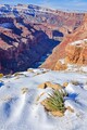 DSC07917r.jpg