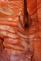 DSC08736R.jpg