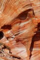 DSC08794R.jpg