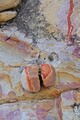 DSC08867R.jpg