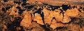 Filename=CBS_202310_pano8.jpg
Filesize=582KiB
Dimensions=1700x643
Date added=Feb 18, 2024 CBS_202310_pano8.jpg