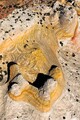DJIP202310_0250RV.jpg