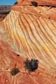 DJIP202310_0280RV.jpg