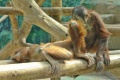 DSC43874.JPG