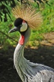 DSC43885.JPG