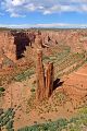 DSC01447R.jpg