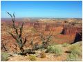 Filename=canyonlands_island17.JPG
Filesize=183KiB
Dimensions=630x475
Date added=Apr 09, 2006 canyonlands_island17.JPG