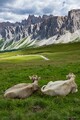 DSC_ITALIE202308_04319R1.JPG