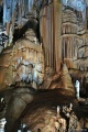DSC00596.JPG