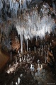 DSC00613.JPG