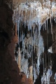 DSC00627.JPG