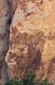 Filename=P1000230R.jpg
Filesize=181KiB
Dimensions=426x640
Date added=Apr 25, 2009 P1000230R.jpg