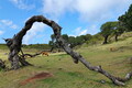 Filename=DSC07860R.jpg
Filesize=414KiB
Dimensions=1050x700
Date added=Apr 27, 2024 DSC07860R.jpg