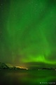 Filename=DSC201701_06825-3R.jpg
Filesize=45KiB
Dimensions=427x640
Date added=Feb 11, 2017 DSC201701_06825-3R.jpg