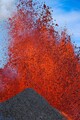 DSC02292r.jpg