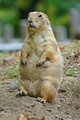 DSC00536R.jpg