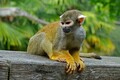 DSC00557R.jpg