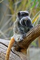DSC00577R.jpg