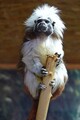 DSC00592R.jpg