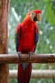 DSC00614R.jpg