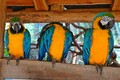 DSC00618R.jpg