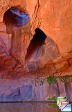 NEON CANYON