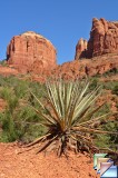 BALDWIN TRAIL