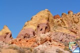 WHITE DOMES