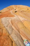 YELLOW ROCK