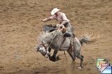 Cody
